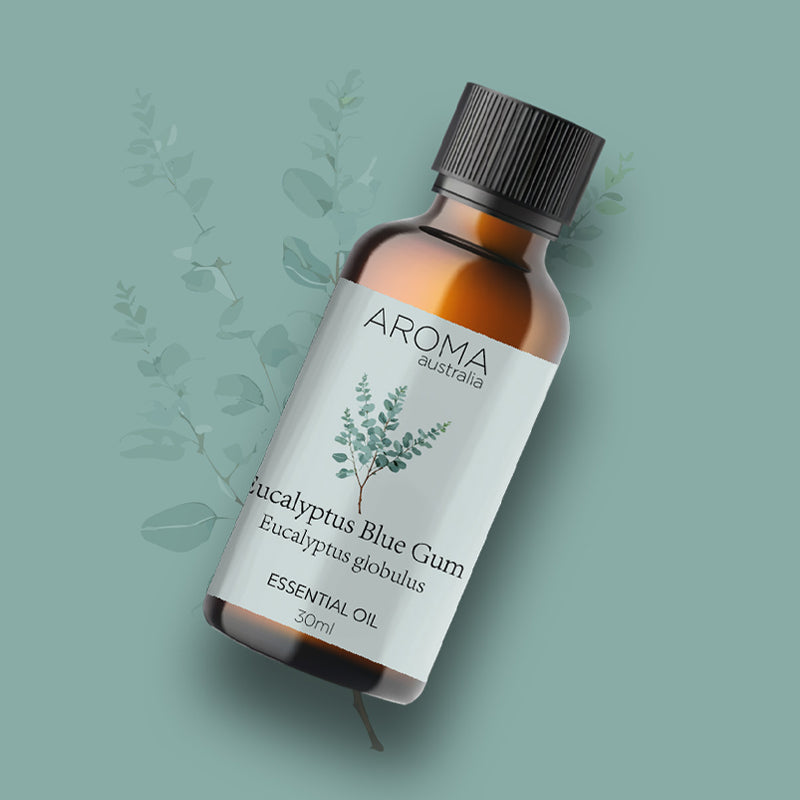 Eucalyptus Blue Gum Essential Oil