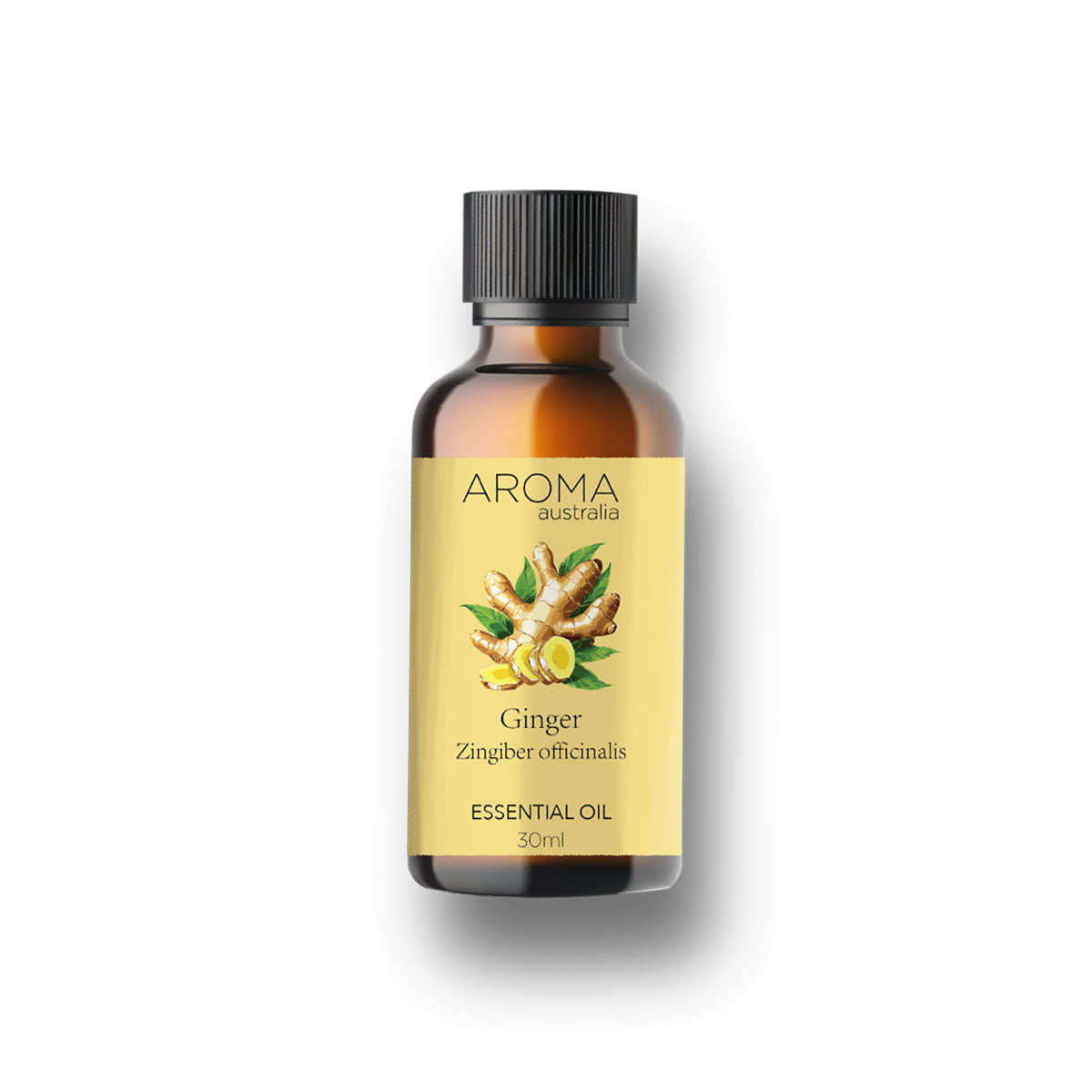 Ginger Essential Oil - 30ml