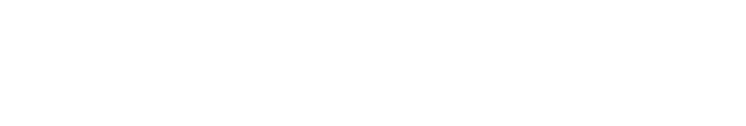 Secondary Logo Light