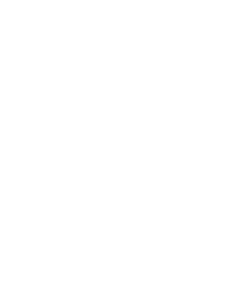 Main Logo Light